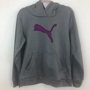 Puma Spotlight Gray Hoodie